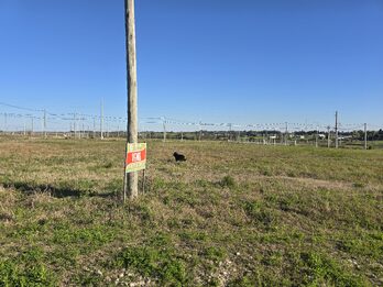 Lote en Oro Verde Loteo Santa Ana barrio El triangular