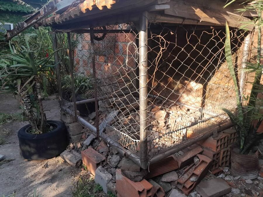 Vendo jaulon gallinero