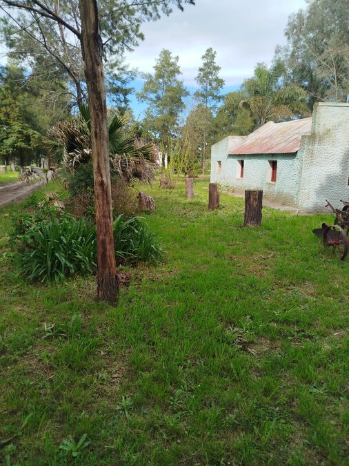 Vendo Espinillo Norte