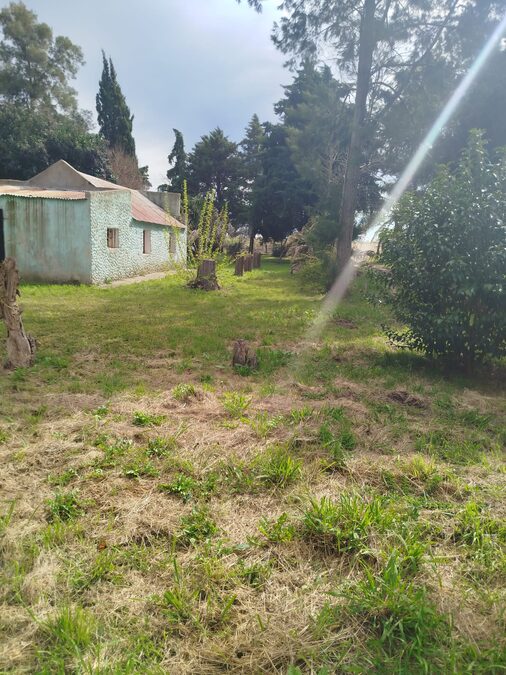 Vendo Espinillo Norte
