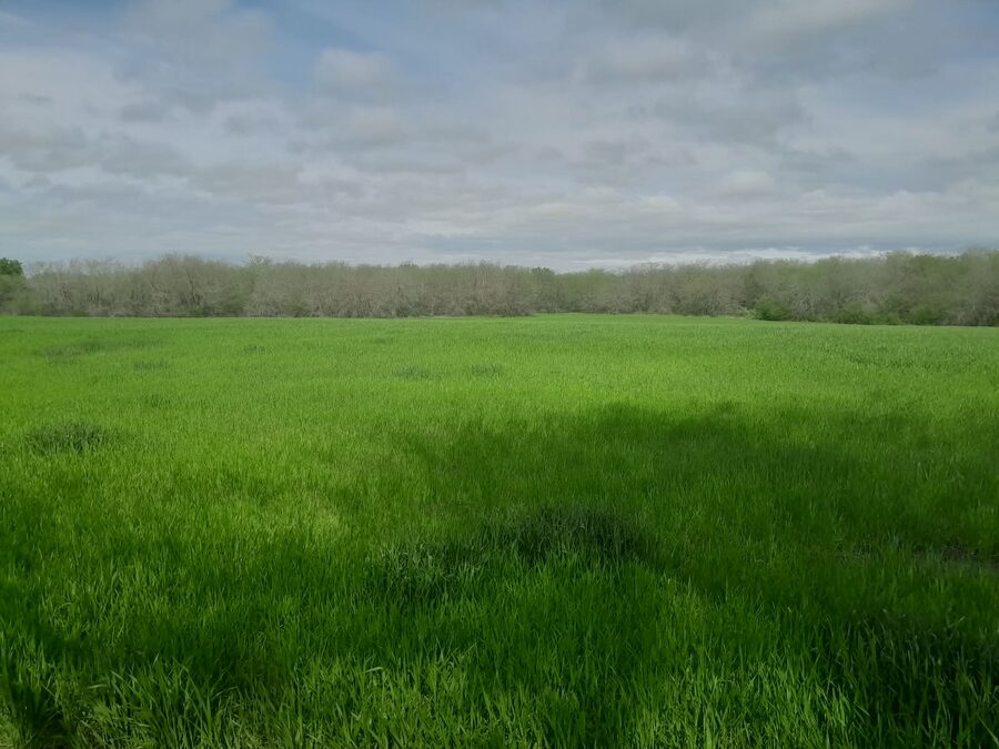 En venta 10 hectareas ruta 18 !