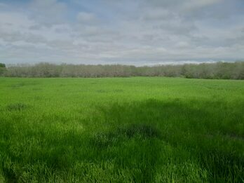 En venta 10 hectareas ruta 18 !