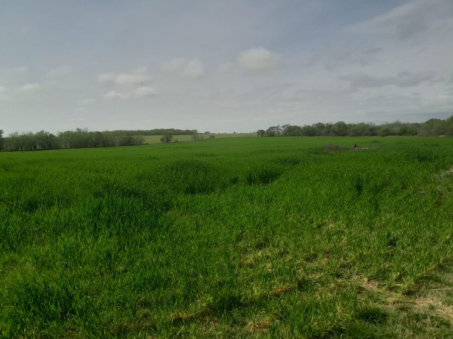 En venta 10 hectareas ruta 18 !
