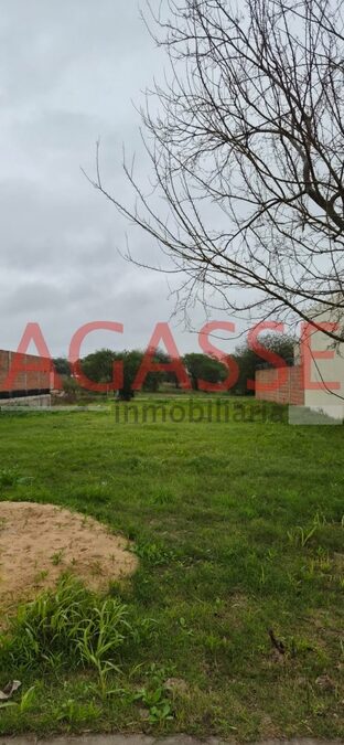 VENDO TERRENO EN LA RESERVA 465 M2 EXCELENTE UBICACION
