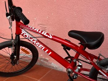 Vendo bicicleta.