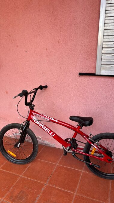 Vendo bicicleta.