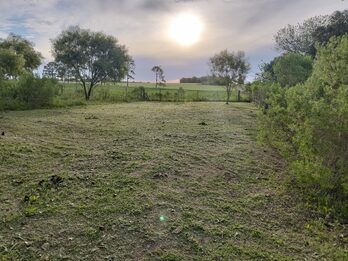 Dos terrenos