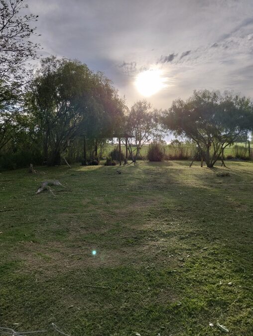 Dos terrenos