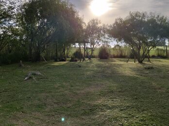 Dos terrenos