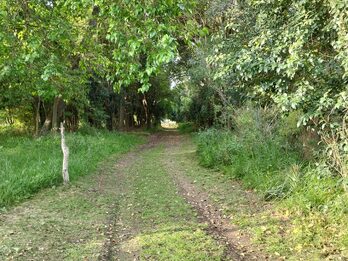 Dos terrenos