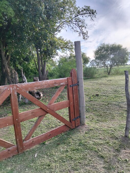 Dos terrenos