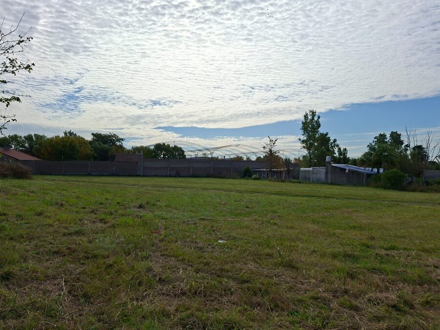 VENDO TERRENO EN SAN BENITO DE 3000M2