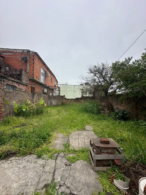 3 de Febrero 1841 | Casa dos dormitorios y patio verde