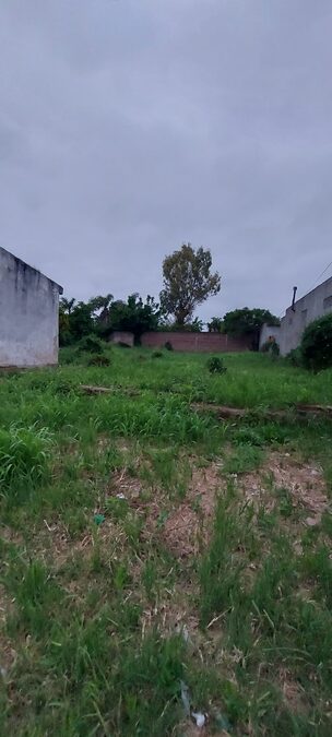 San Benito, terreno único en la zona