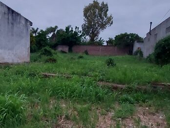 San Benito, terreno único en la zona