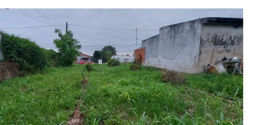 San Benito, terreno único en la zona