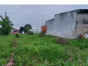 San Benito, terreno único en la zona