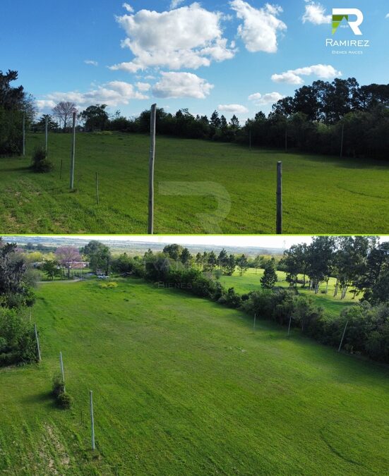 🏡 8 LOTES EN VENTA | LISANDRO DE LA TORRE Y ARTIGAS