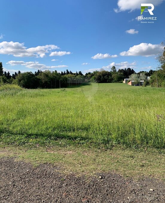 🏡 8 LOTES EN VENTA | LISANDRO DE LA TORRE Y ARTIGAS