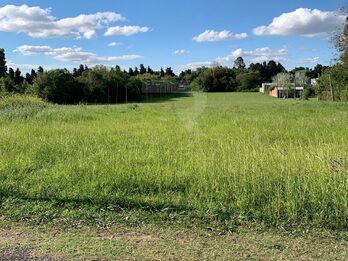 🏡 8 LOTES EN VENTA | LISANDRO DE LA TORRE Y ARTIGAS