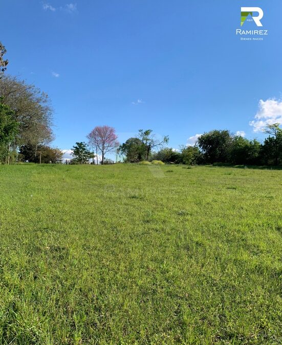 🏡 8 LOTES EN VENTA | LISANDRO DE LA TORRE Y ARTIGAS