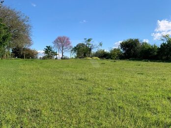 🏡 8 LOTES EN VENTA | LISANDRO DE LA TORRE Y ARTIGAS