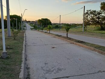 Loteo Lapachos lll
