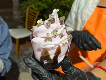 Maquina de Helados Soft