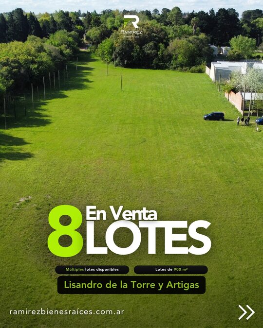 8 LOTES EN VENTA | LISANDRO DE LA TORRE Y ARTIGAS