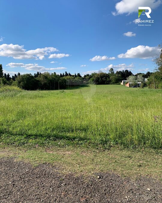 8 LOTES EN VENTA | LISANDRO DE LA TORRE Y ARTIGAS