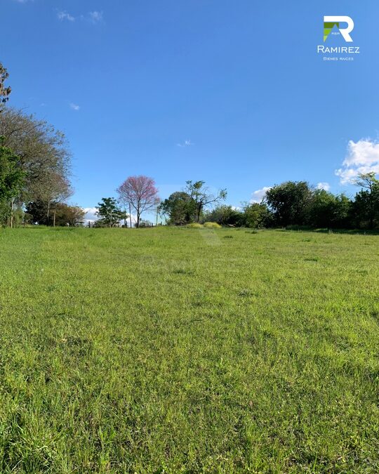 8 LOTES EN VENTA | LISANDRO DE LA TORRE Y ARTIGAS
