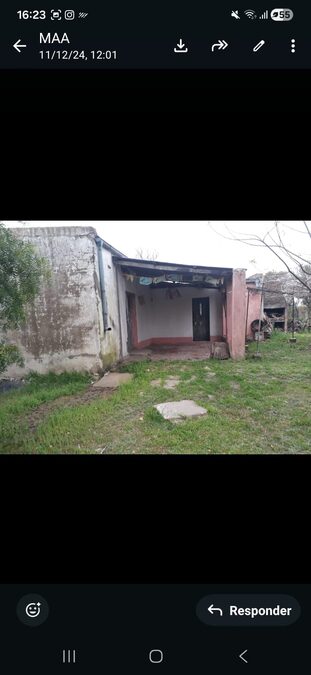 Hectárea en el centro de Pueblo Gral. Alvear-Dpto. Diamante
