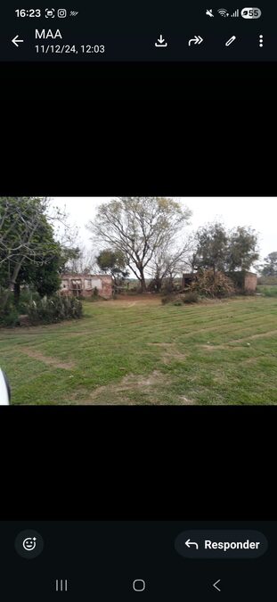 Hectárea en el centro de Pueblo Gral. Alvear-Dpto. Diamante