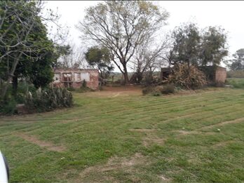 Hectárea en el centro de Pueblo Gral. Alvear-Dpto. Diamante