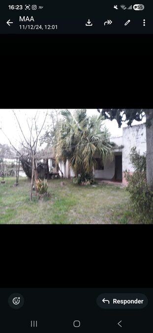 Hectárea en el centro de Pueblo Gral. Alvear-Dpto. Diamante