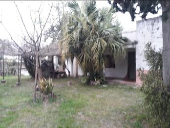 Hectárea en el centro de Pueblo Gral. Alvear-Dpto. Diamante