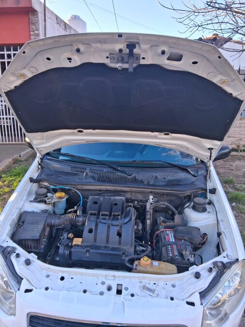 Palio Fiat Elx 2010