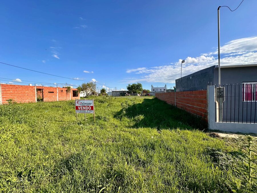 VENDO TERRENO EN SAN BENITO