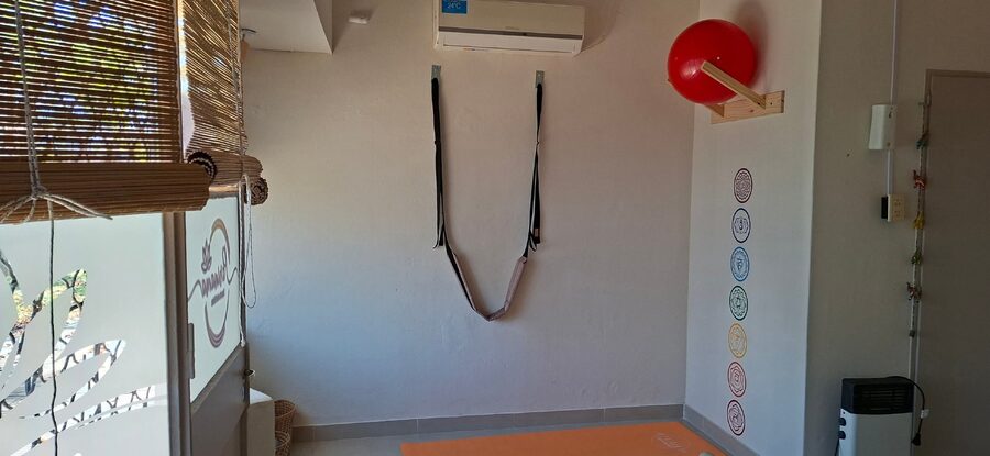 Alquilo local calle soler 900