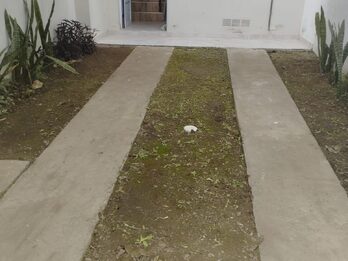 Alquilo Duplex 2 dormitorios 2 baños - patio verde - zona Av. de las Americas