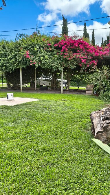 🏡 VENTA de CASA - GRAL. ARTIGAS, PARANÁ 🌳