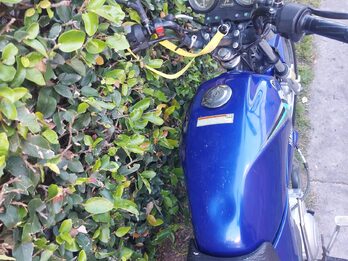 YAMAHA YBR 125