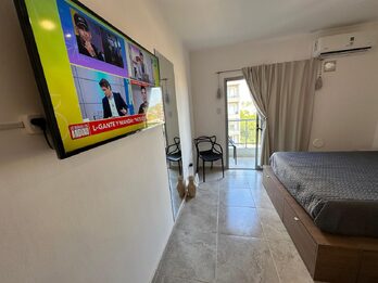 Maipu 547. Monoambiente Amoblado En Alquiler