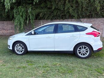 Vendo Focus 2019 76800 KM